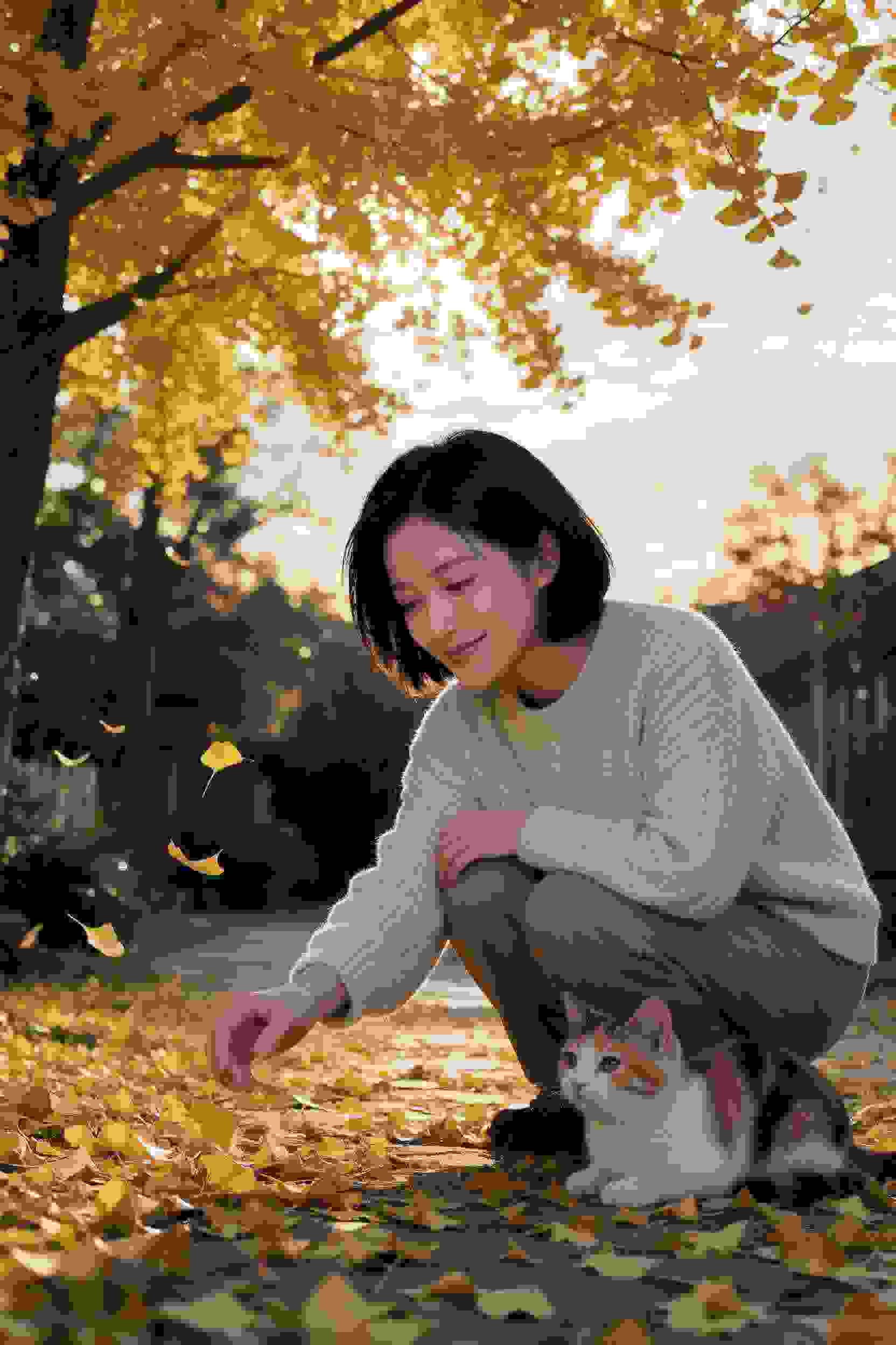朝鲜魅惑